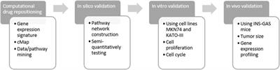 Computational Drug Repositioning and Experimental Validation of Ivermectin in Treatment of Gastric Cancer